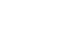 琉球大学の いろいろな 研究